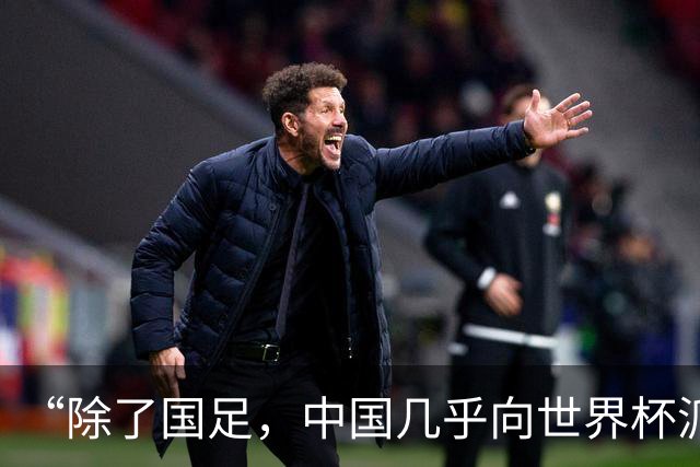 “除了国足，中国几乎向世界杯派去了一切”