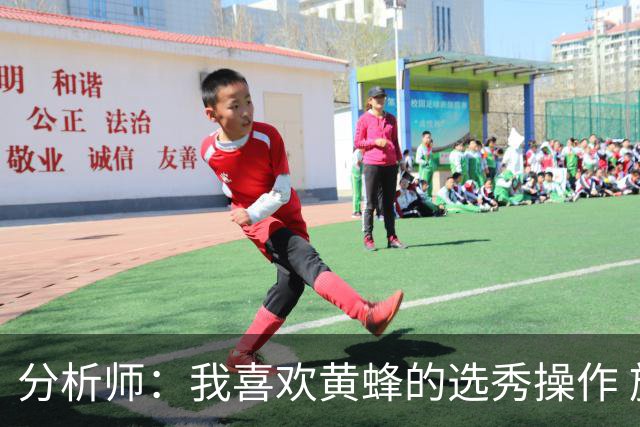 分析师：我喜欢黄蜂的选秀操作 施泰因巴赫简直是个内线巨兽
