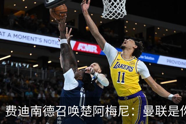 费迪南德召唤楚阿梅尼：曼联是你的唯一归宿，想成事的话就来吧！