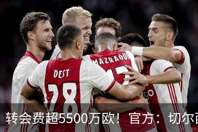 转会费超5500万欧！官方：切尔西签下21岁帕莱斯特拉，签约7年